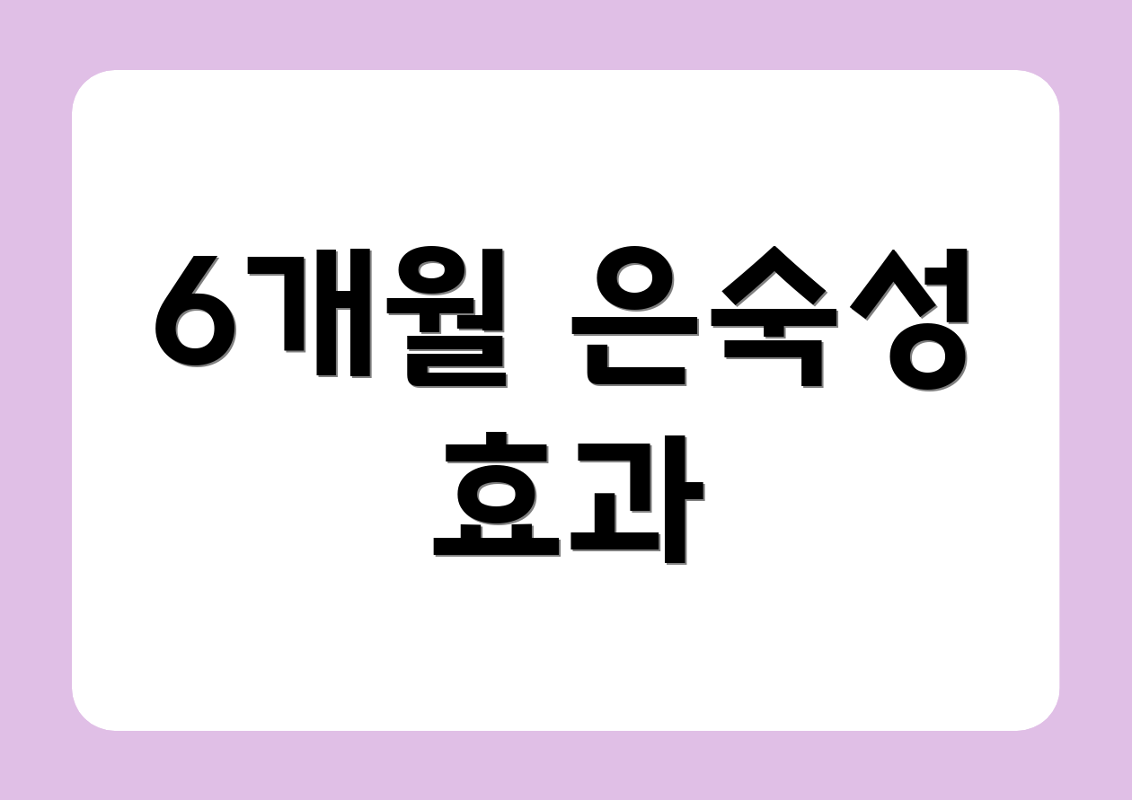 6개월 은숙성 효과