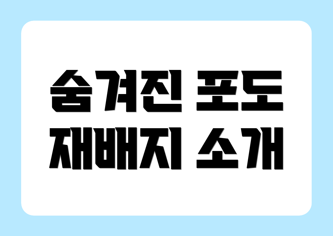 숨겨진 포도 재배지 소개