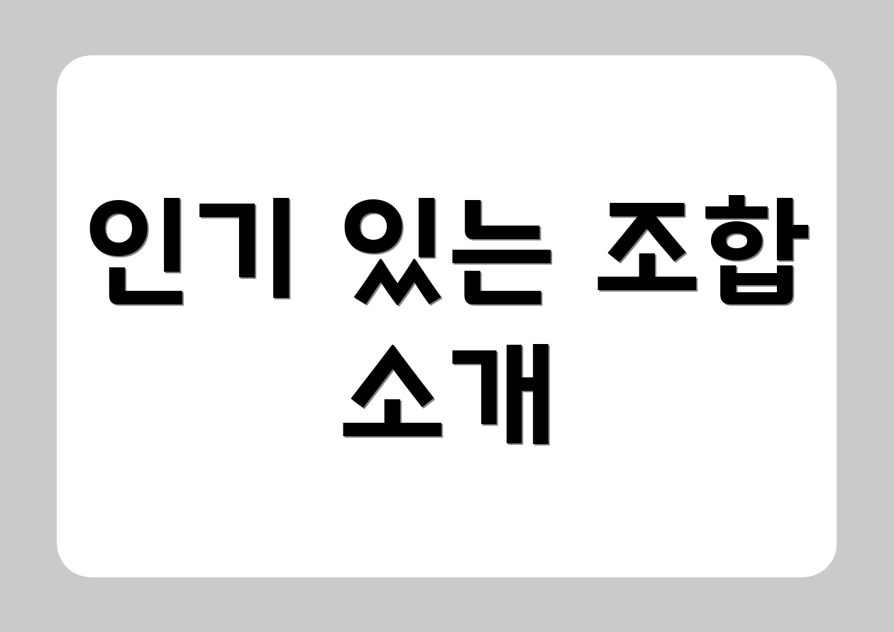 인기 있는 조합 소개