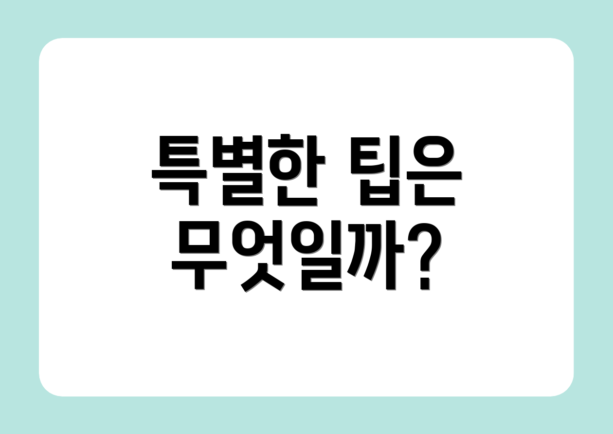특별한 팁은 무엇일까?