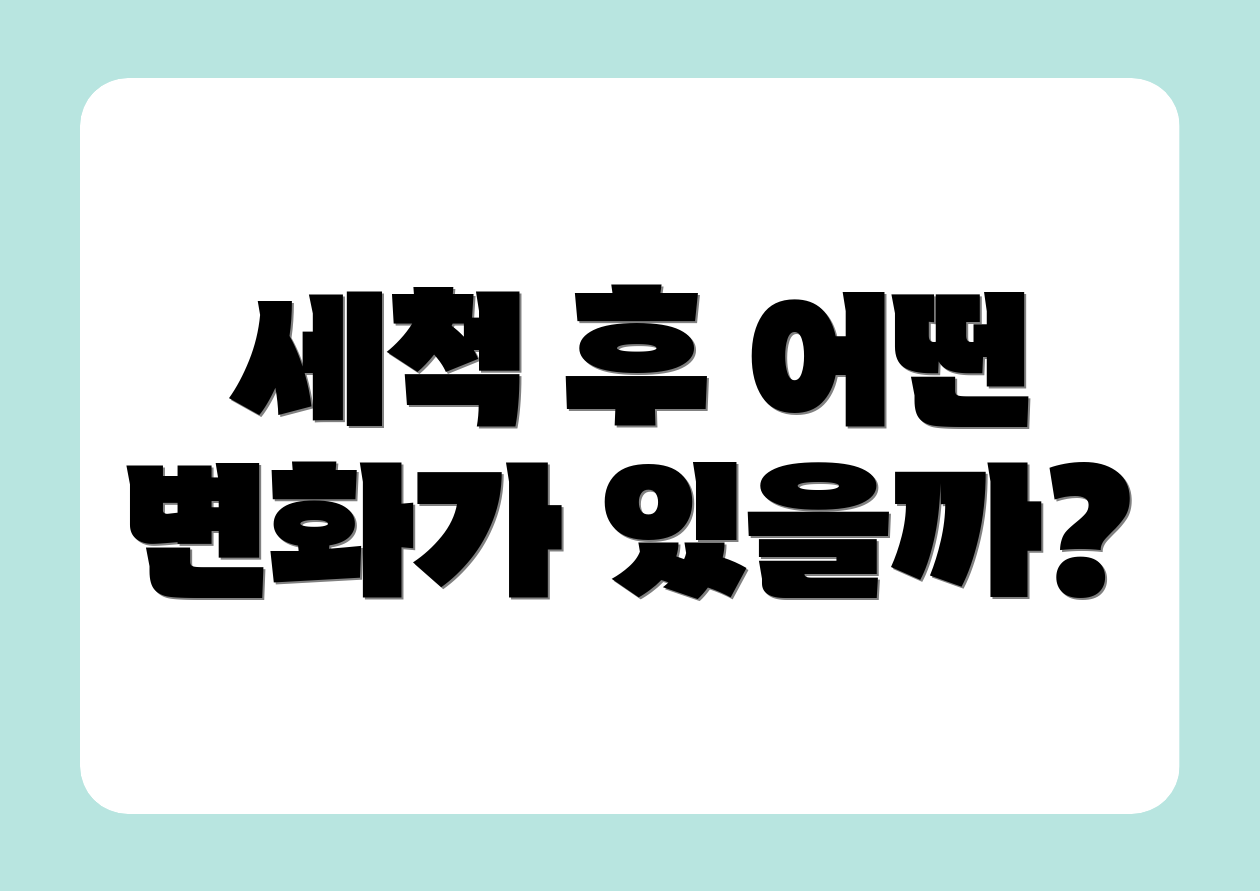 세척 후 어떤 변화가 있을까?