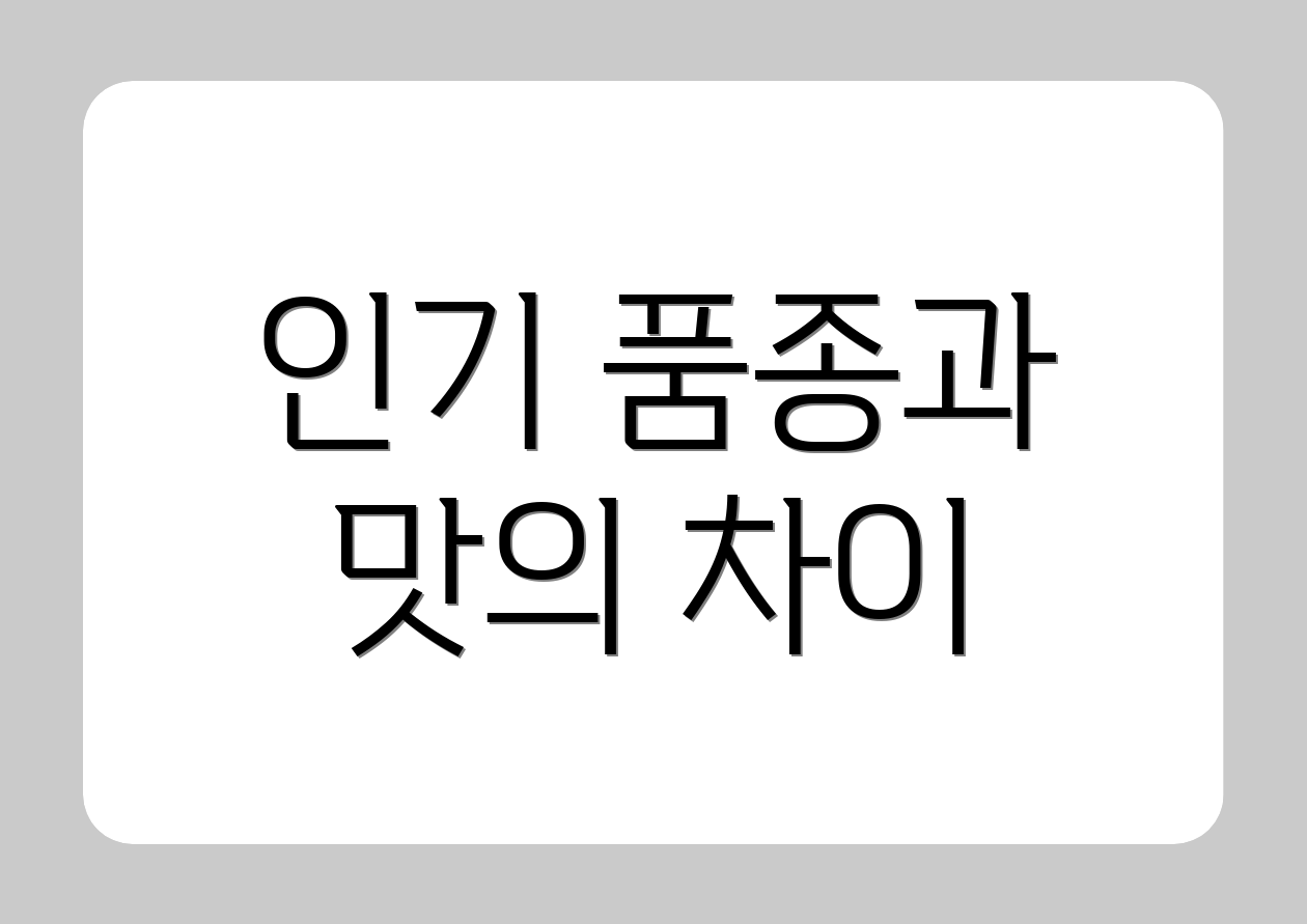 인기 품종과 맛의 차이